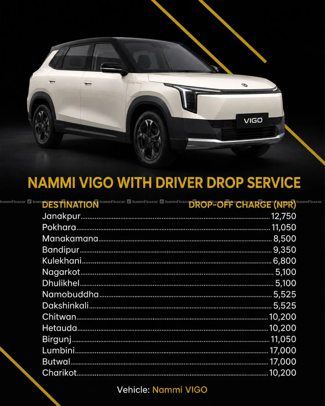 Other Chinese Brands NAMMI Vigo with Driver