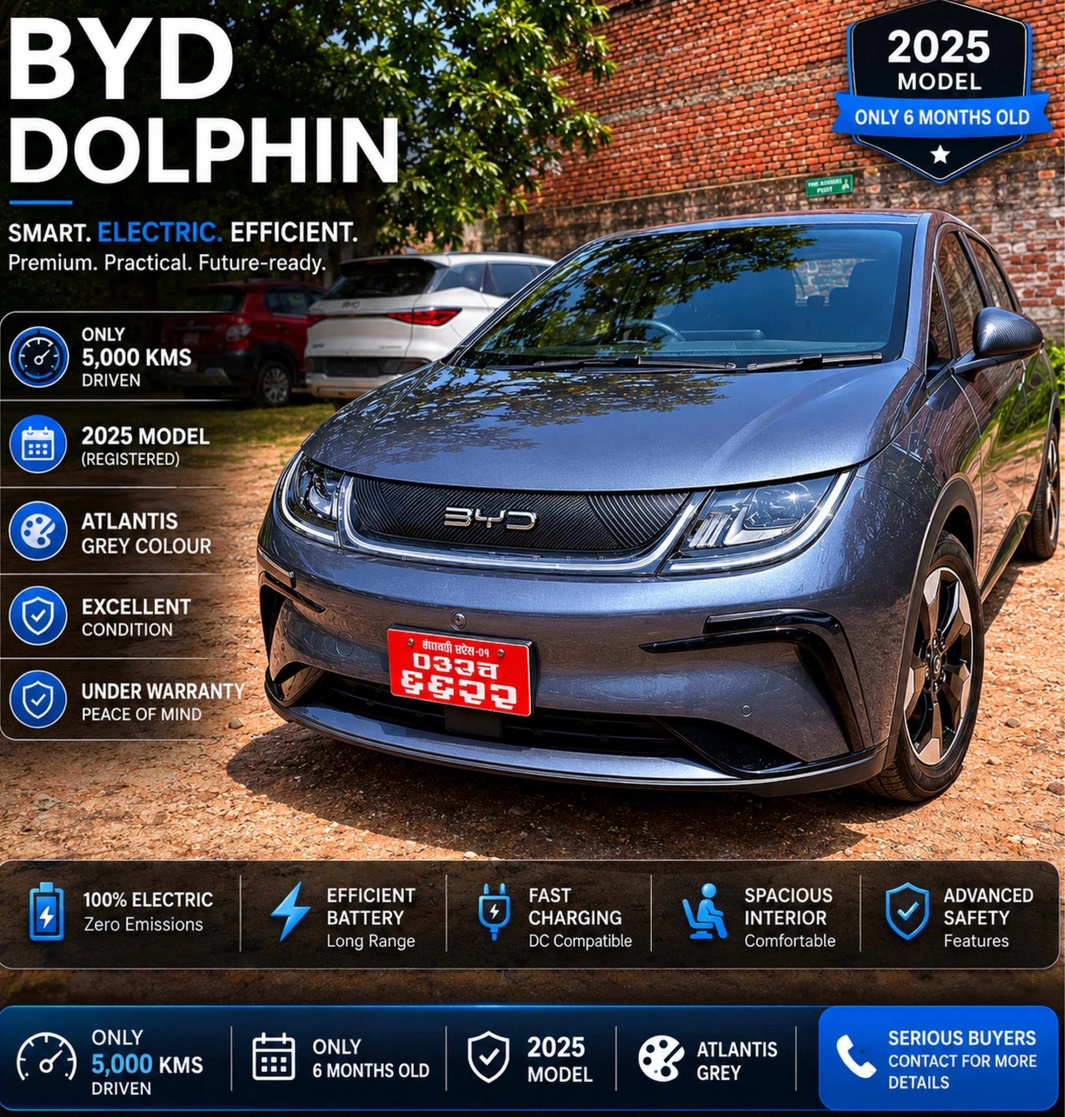 BYD Dolphin
