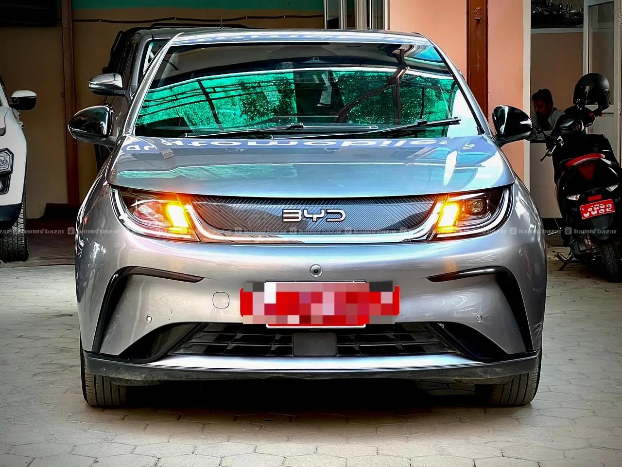 BYD Dolphin