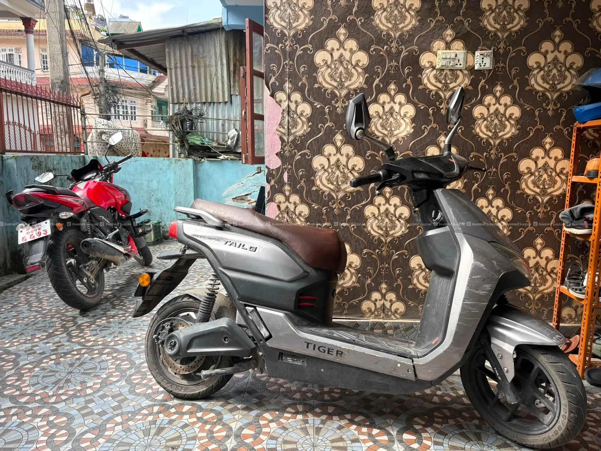 TAILG Tiger
