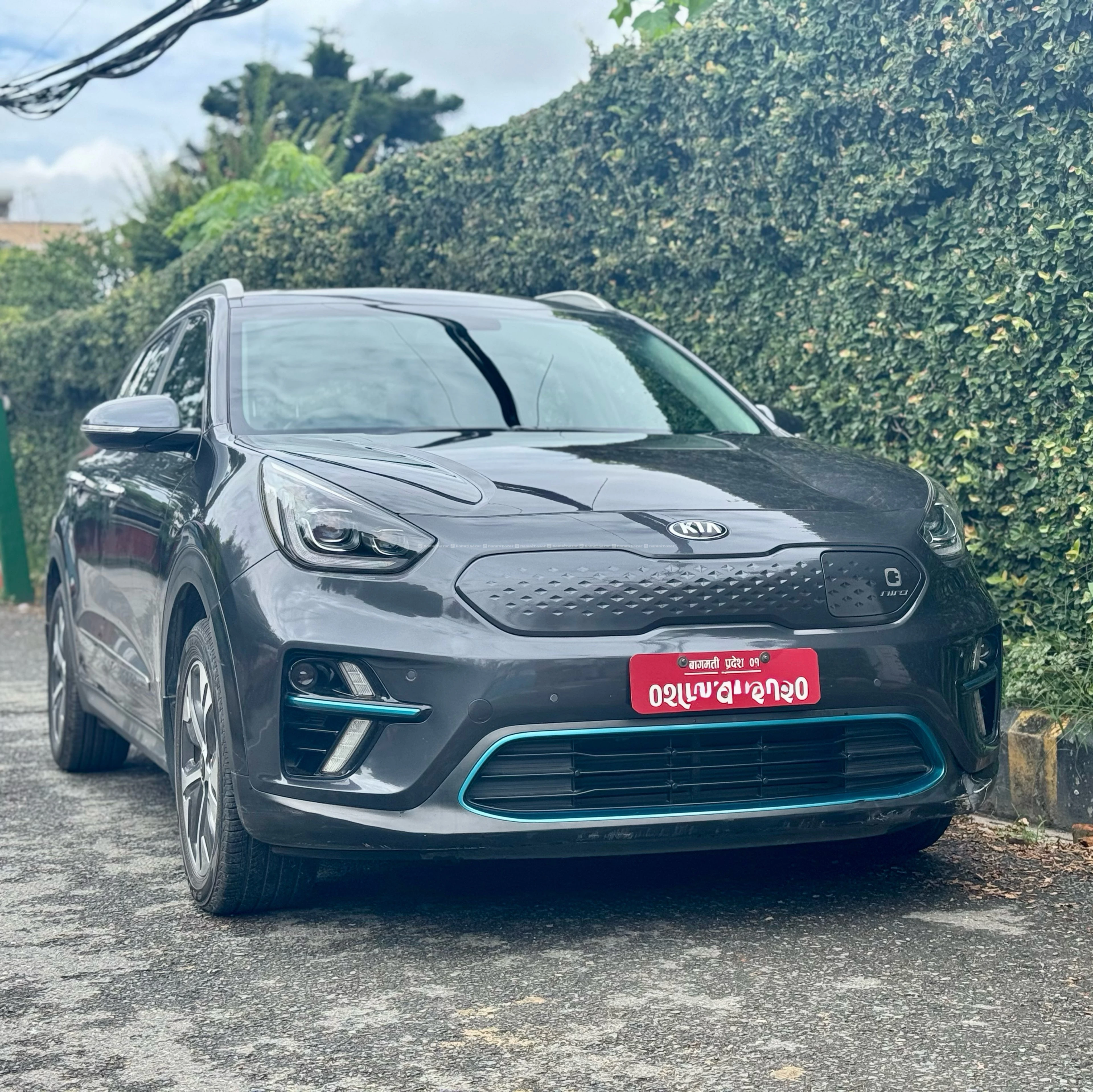 Single Owner Kia Niro EV 2019 | Only 46k kms run