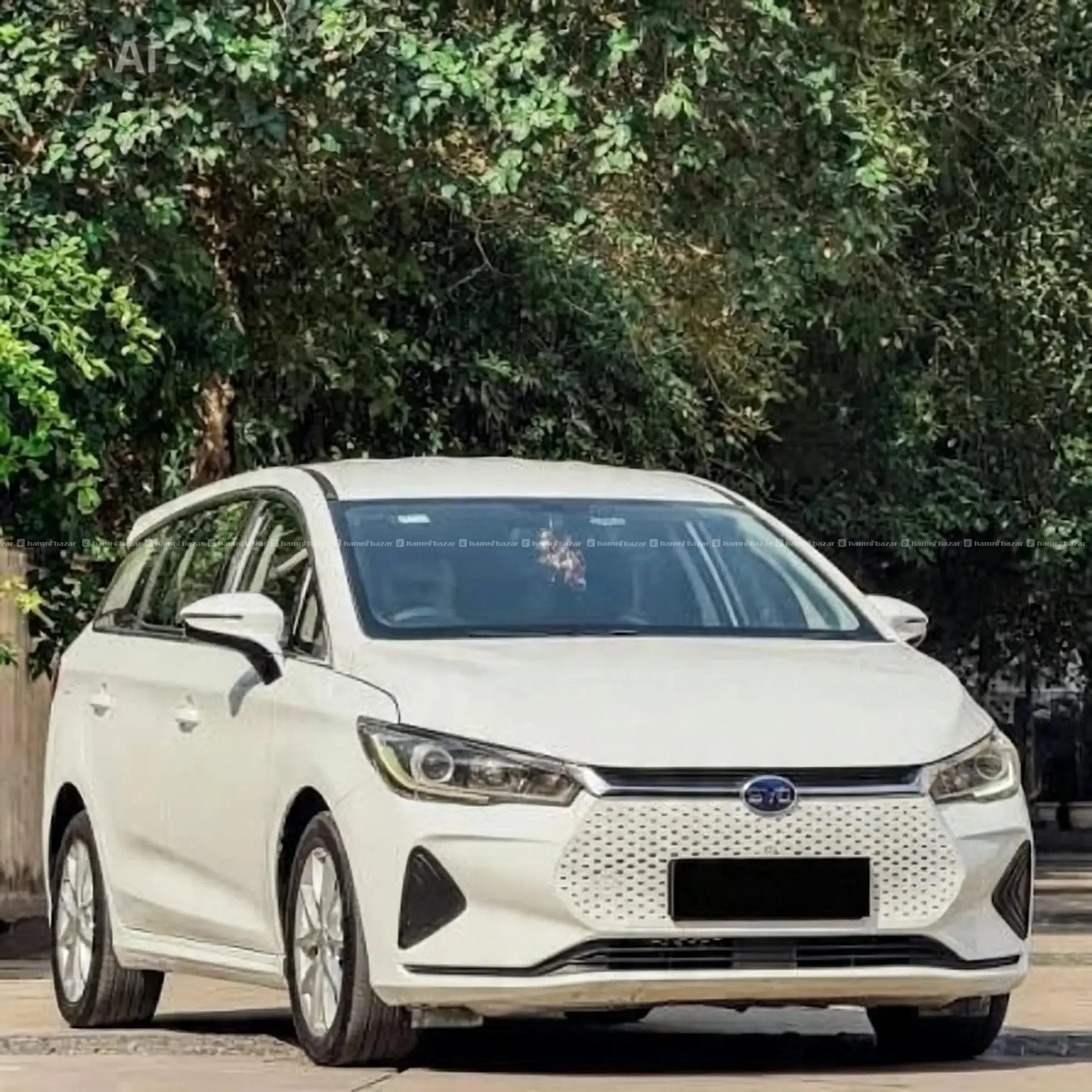 BYD E6 (reasonably negotiable)