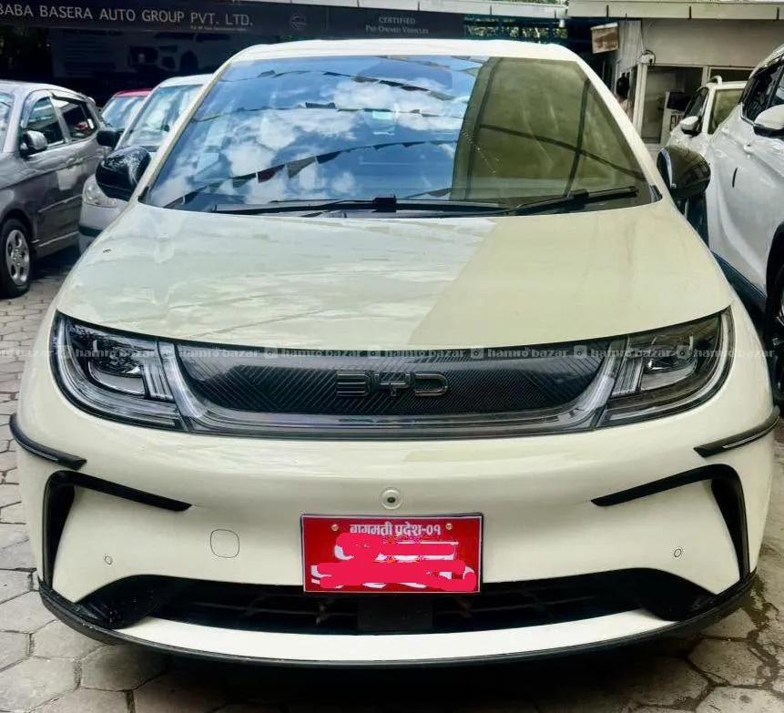 BYD Dolphin