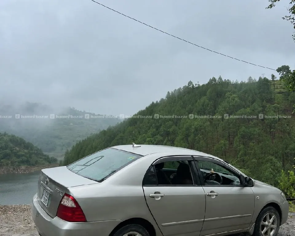 BYD need a car for rent this monday