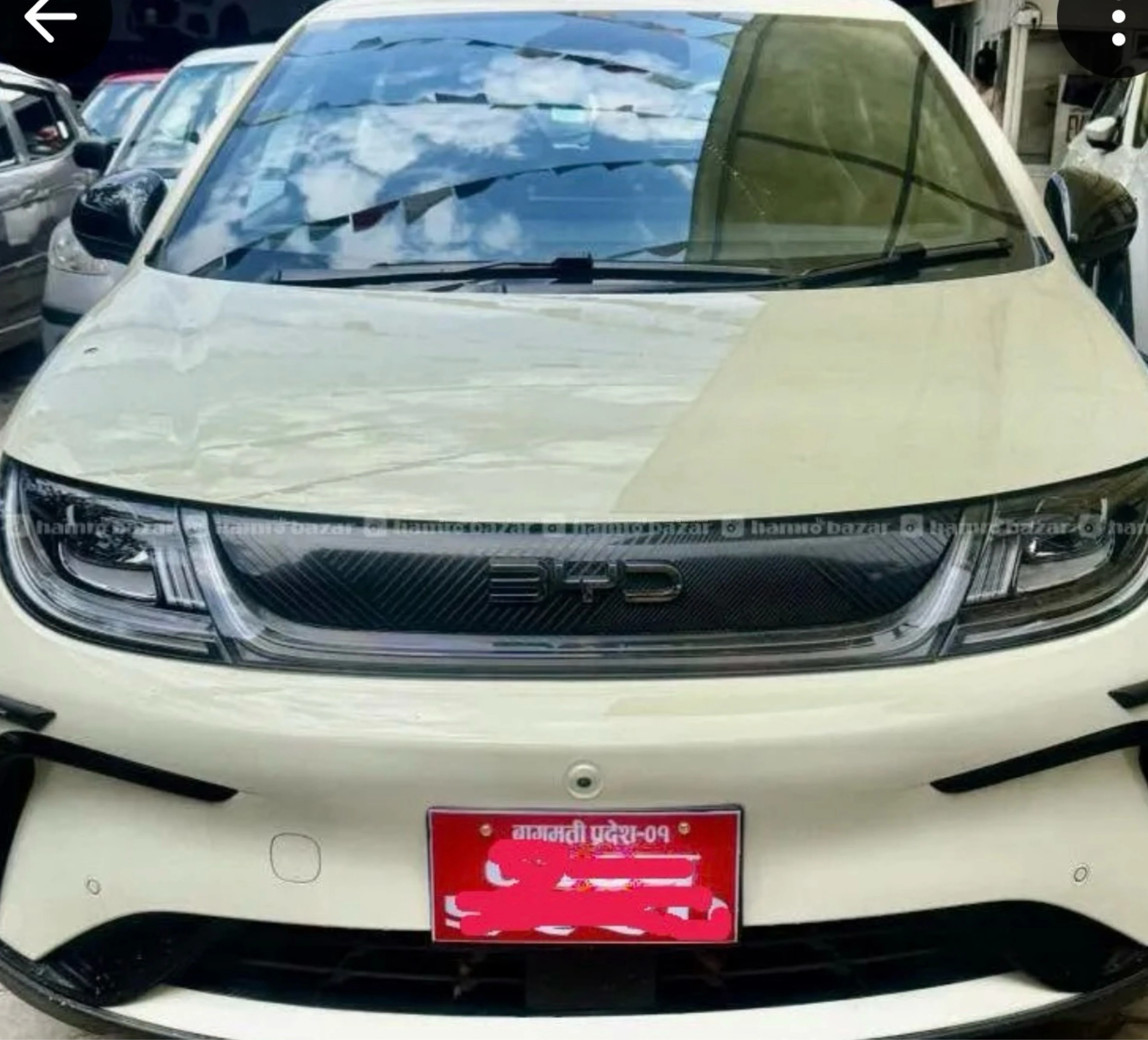 BYD Dolphin