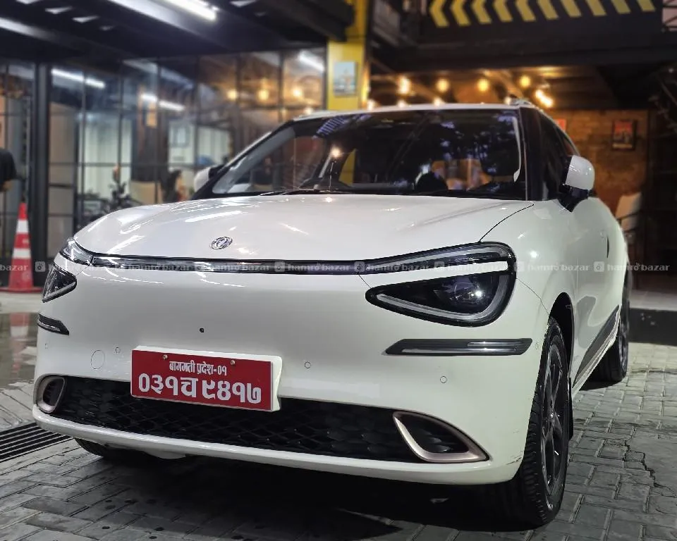 Dongfeng Nammi 01