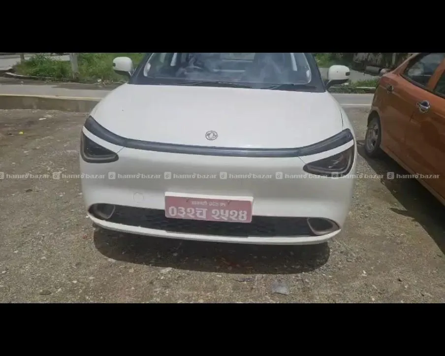 Dongfeng Nammi 01